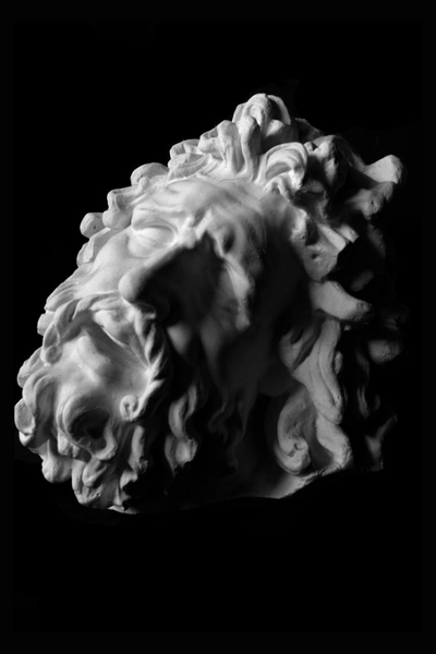 Lacoon Mask Cast