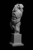 Flayed torso Cast