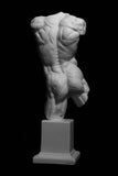 Flayed torso Cast