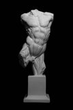 Flayed torso Cast